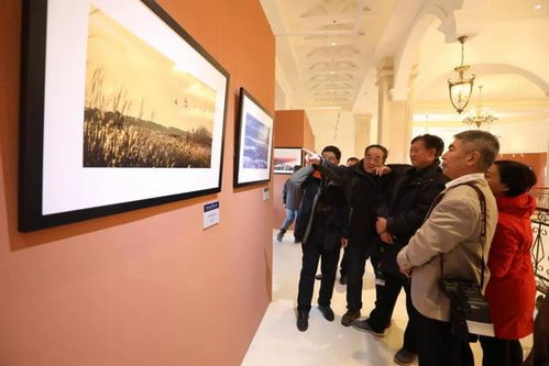 倪萍老师与您相约天鹅湖 文化艺术交流活动策划